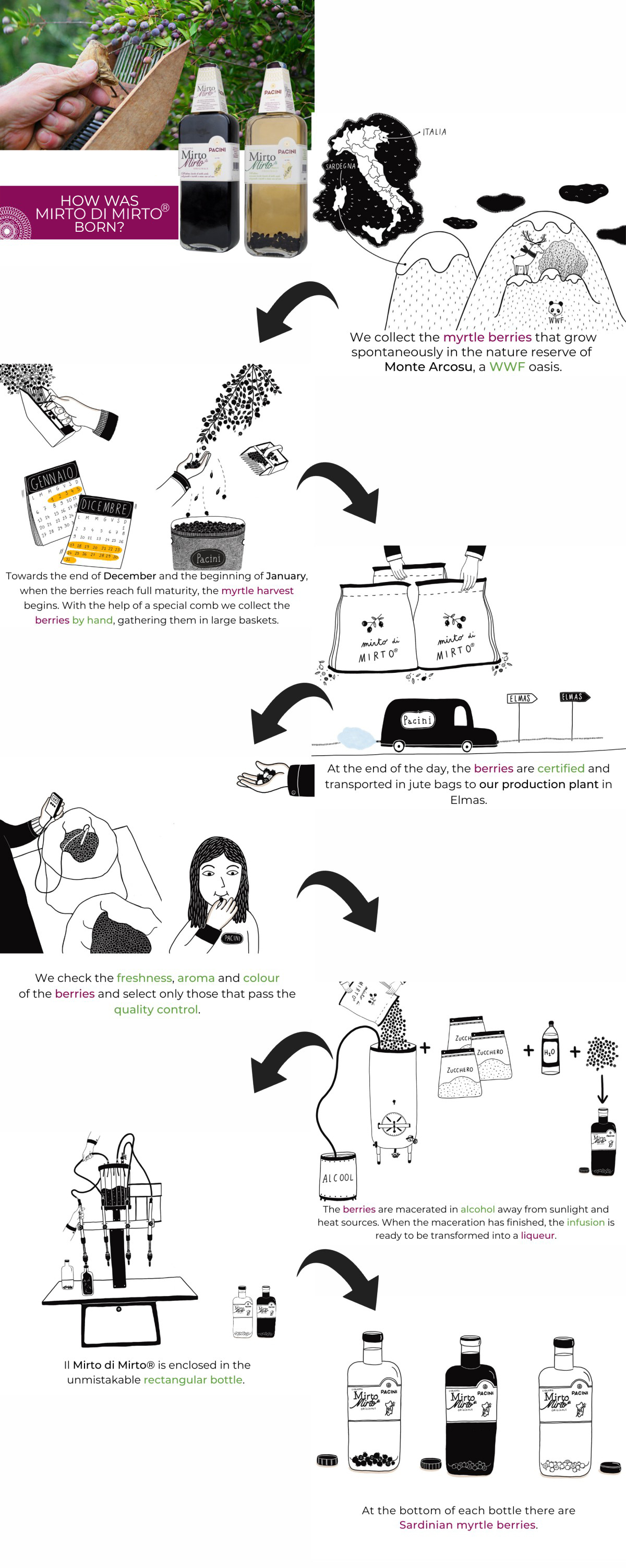 comenascemirtodimirto